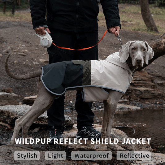Cozcube Reflect Shield Jacket(3-Tone Outdoor Hiking Jacket for Large Breeds)for dog