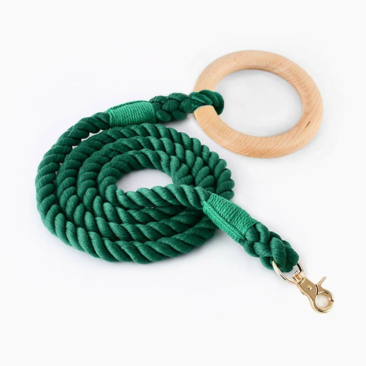 Pastel Twist Dog Leash: Braided Rainbow Lead