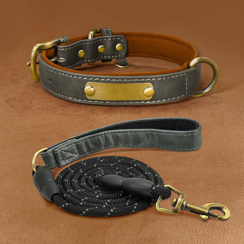 Stylish Dual-Tone Leather Dog Collar (Custom Engraved)