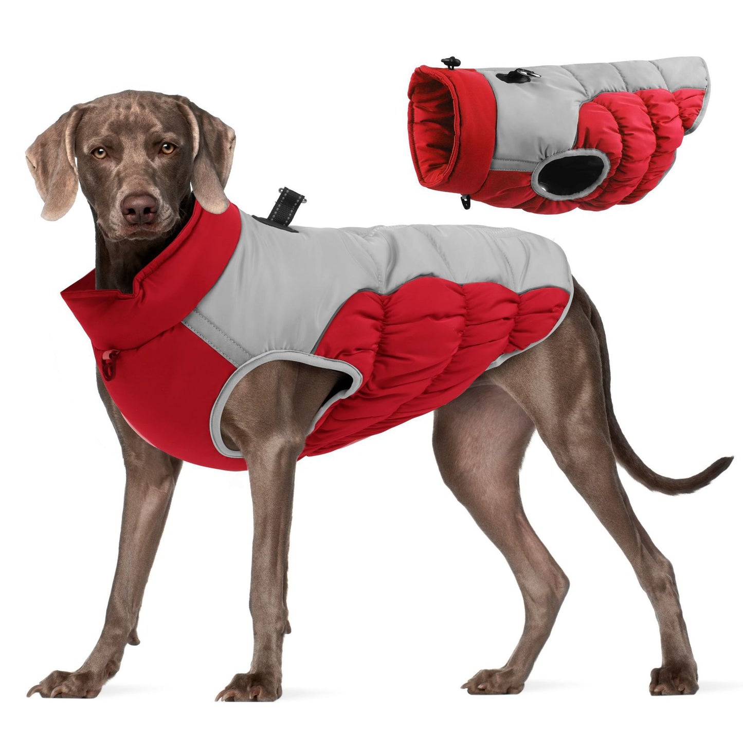 Winter Shield Padded Dog Jacket