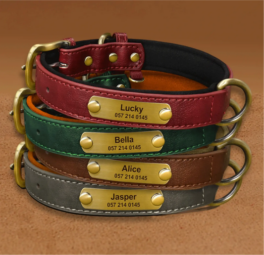 Stylish Dual-Tone Leather Dog Collar (Custom Engraved)