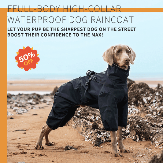 Full-Body Waterproof Dog Raincoat (Practical & Reflective)