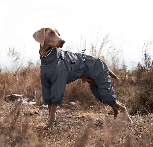 Full-Body Waterproof Dog Raincoat (Practical & Reflective)