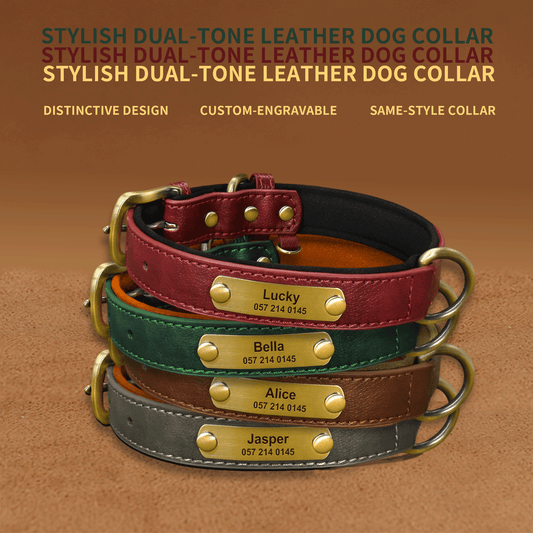 Stylish Dual-Tone Leather Dog Collar (Custom Engraved)