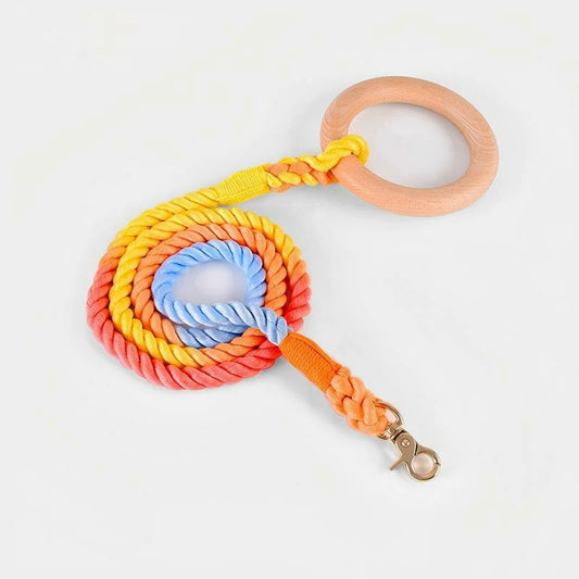 Pastel Twist Dog Leash: Braided Rainbow Lead