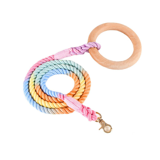 Pastel Twist Dog Leash: Braided Rainbow Lead