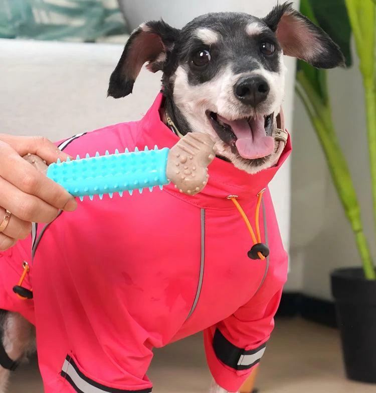 Natural Wood Powder Dog Chew Bone Toy Set (Textured Cleaning Design)4-Piece